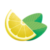 LEMON-MINT RECHARGE