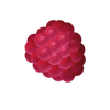 BERRY